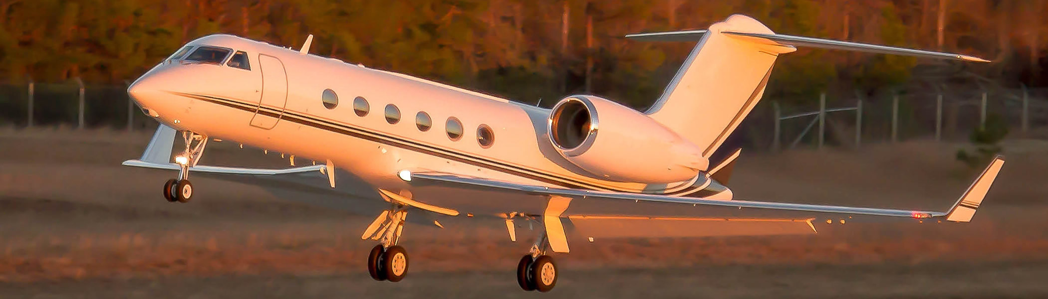 Take Conroe Business to New Heights